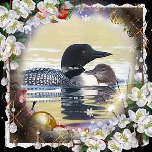 Meet your Posher, Jeanne